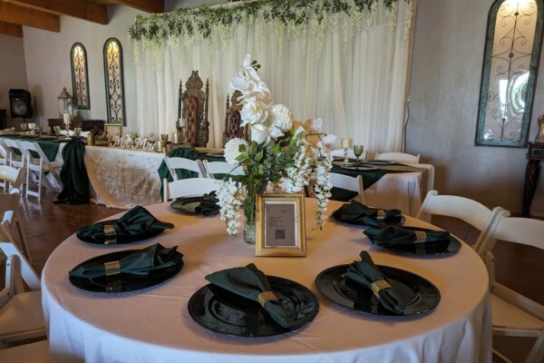 490770388_1231144239012817_252554622861876235_n