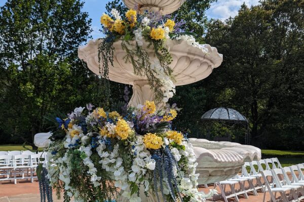 491939847_1231144482346126_3455721404426594517_n